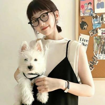 狮子王3 高清海报